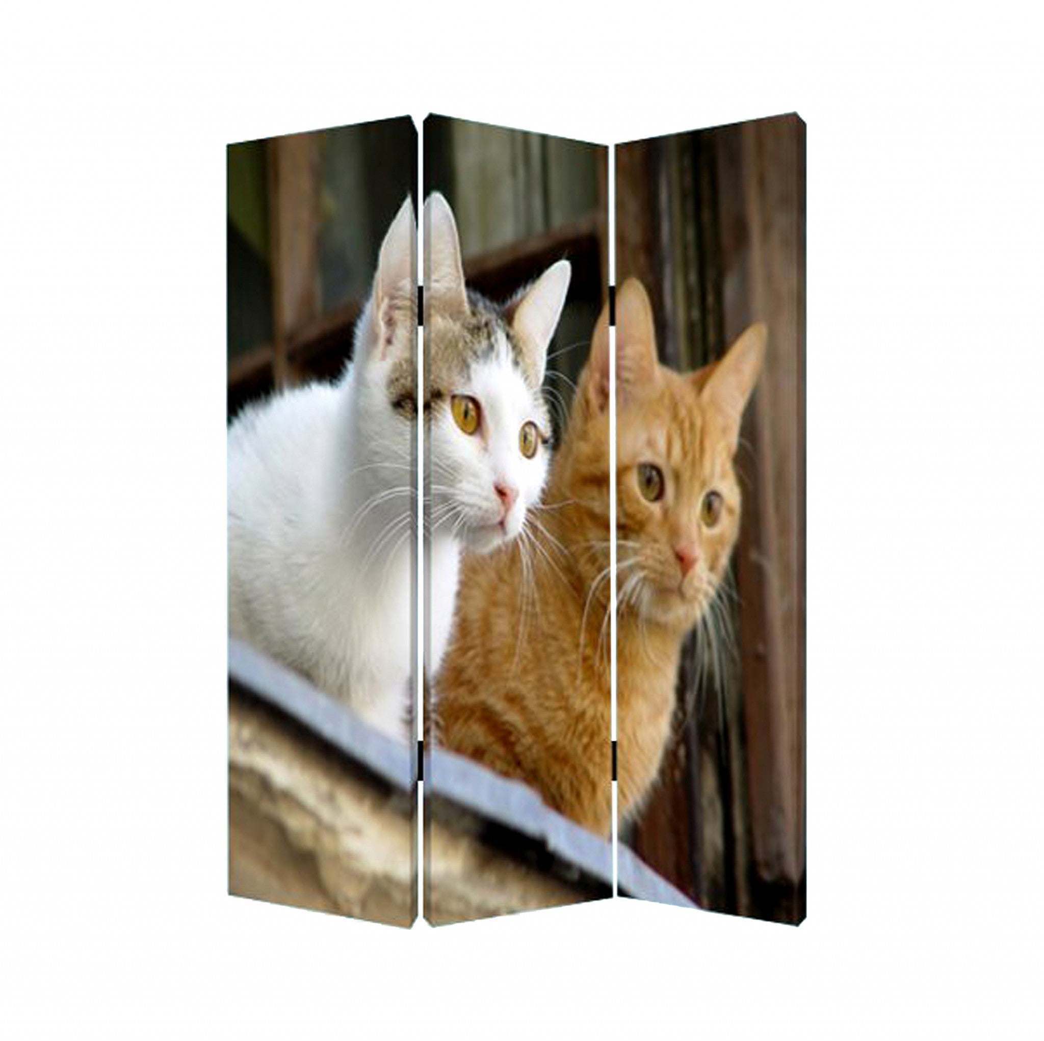 1 x 48 x 72 Multi Color Wood Canvas Curious Cat  Screen